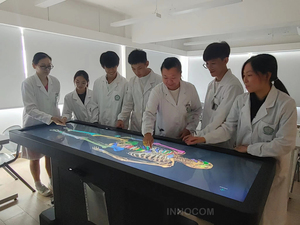 Digital Body Anatomy System Medical Education Teaching <strong>Human</strong> 3D Virtual Anatomage Table Virtual Manikin - Product Image 5