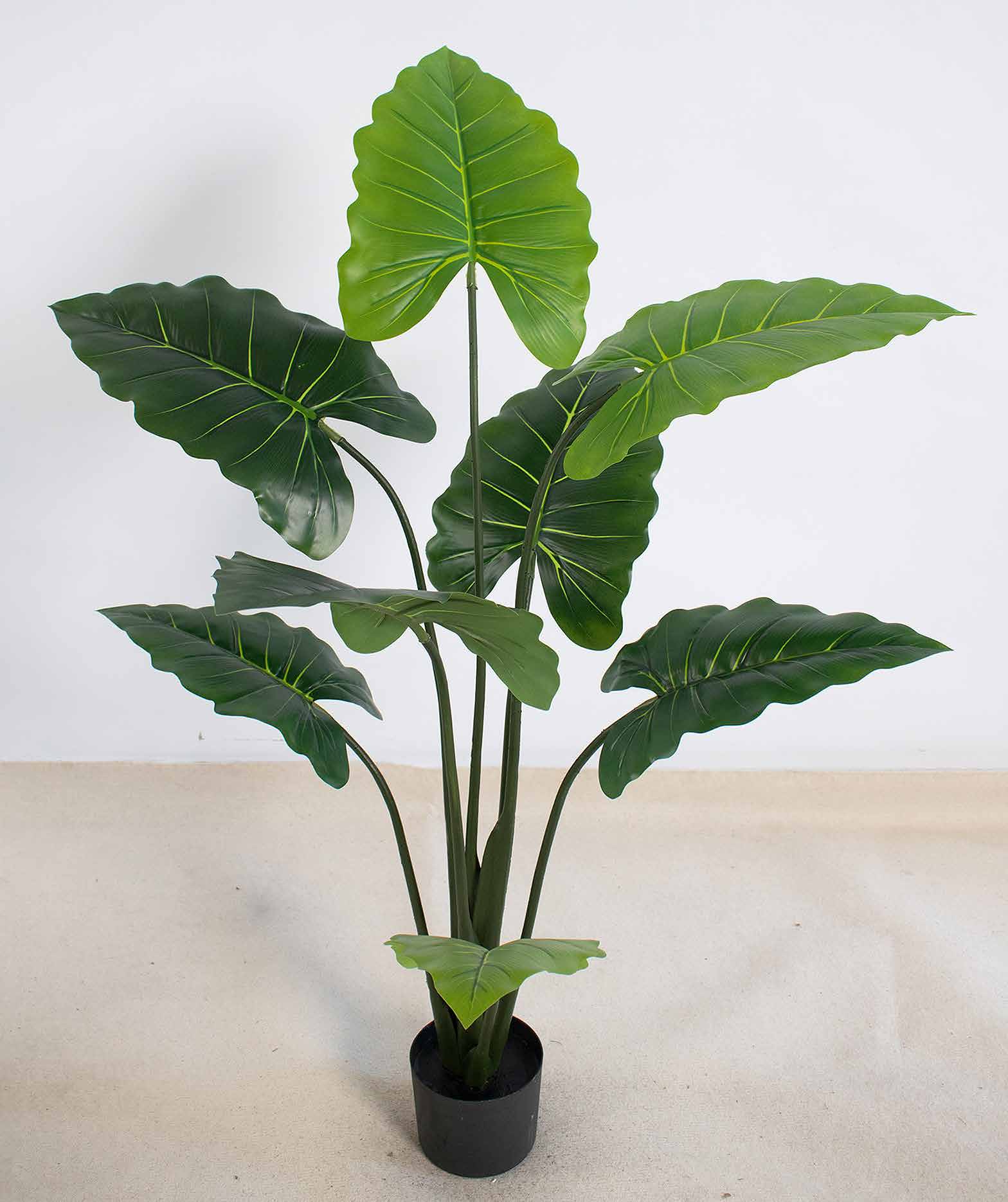 115cm