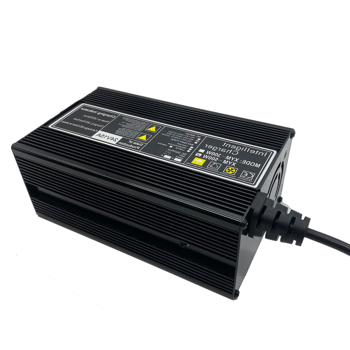 Noir 12V20A