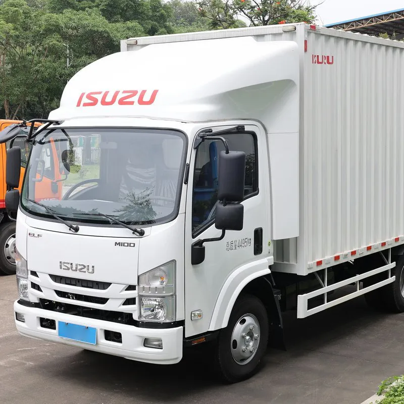Isuzu m100 100p 4 X2 Einreihige Kabine Light Duty Cargo Van Truck mit 4kh Motor