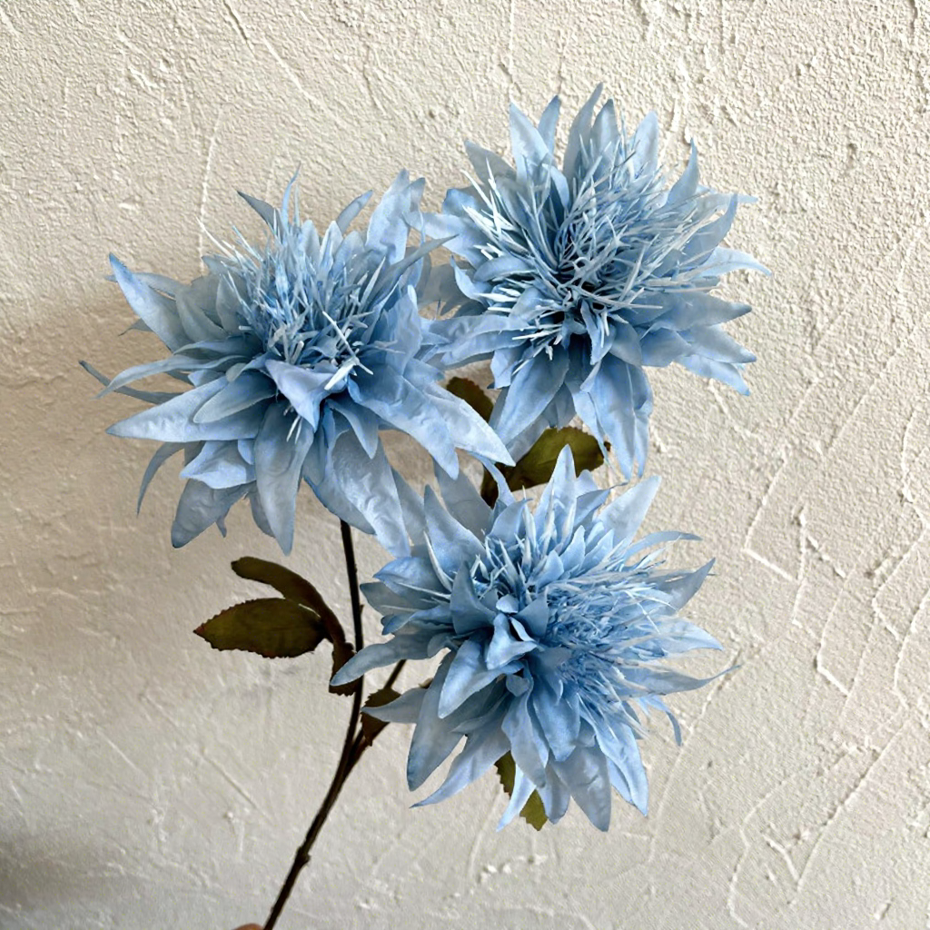 Blu-chiaro