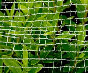 <span class=keywords><strong>Net</strong></span> một porternwt eceran benang PE pishing PE <span class=keywords><strong>Net</strong></span> cho câu cá Pigeon <span class=keywords><strong>Net</strong></span> 100% Trinh Nữ HDPE - Product Image 6