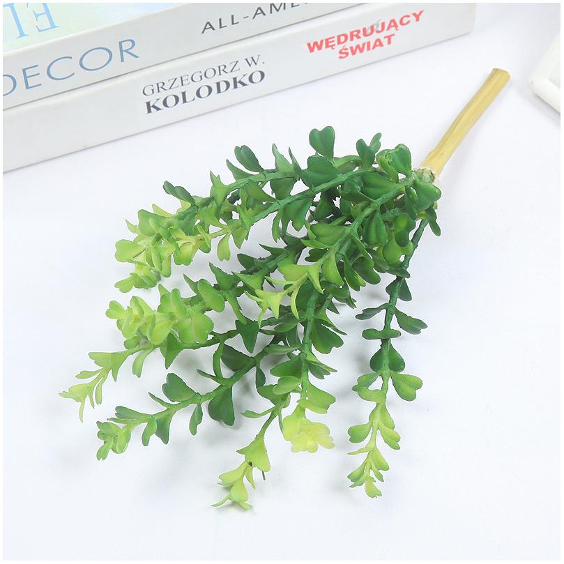 12 Mini Herbes à Monnaie Vertes 28cm 46,7g