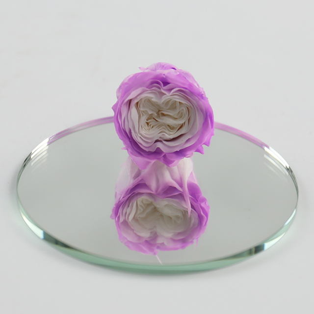 violeta claro+blanco