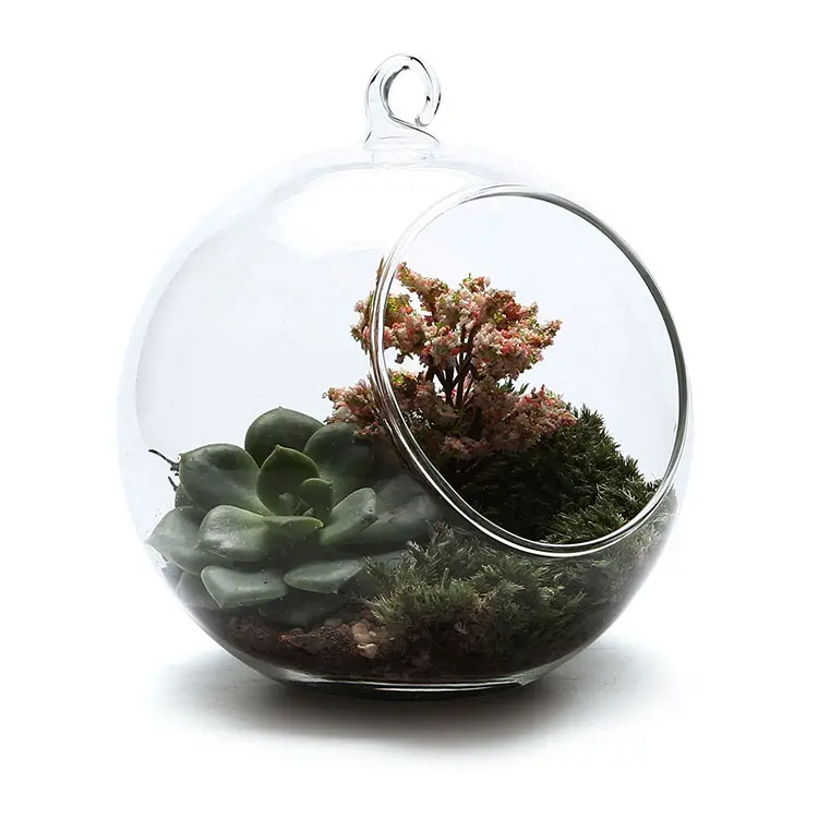 Vaso de vidro suspenso em esfera, bola de vidro para plantas