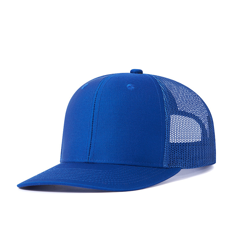 Couleur bleu roi