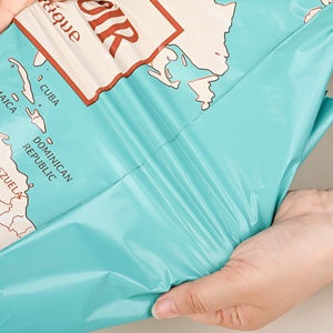 塑料邮寄运输袋<span class=keywords><strong>20x30</strong></span>快递运输袋服装信封邮件防水邮政运输袋快递信封