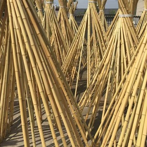Moso天然木竹竿经济压力处理，用于建筑，易于组装，用于阳台边框网格