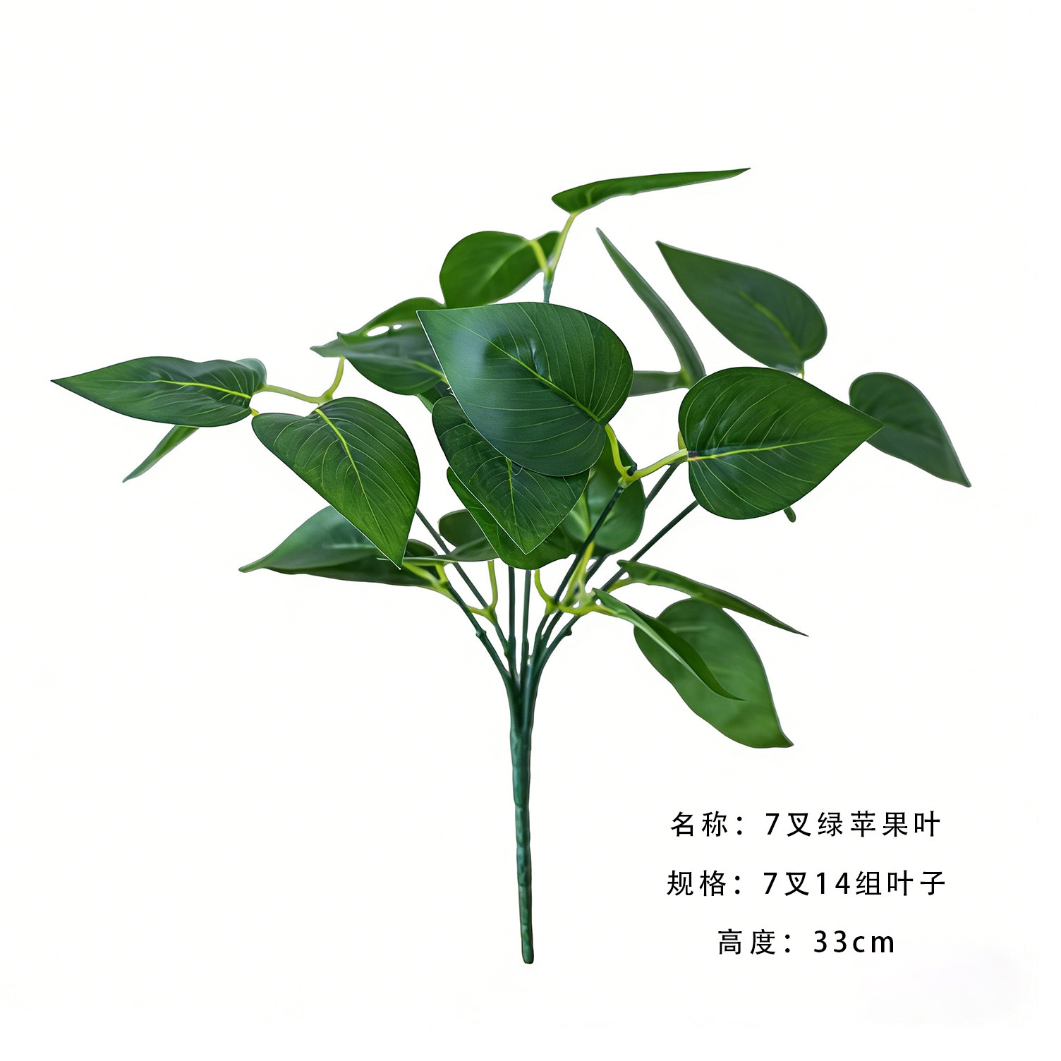 7 fork green apple leaves a branch