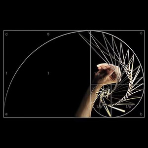 2024 yeni ürünler kare dalga rahatlatıcı ve büyüleyici kinetik sanat parçası türük gelen basınç aracı azaltmak - Product Image 3