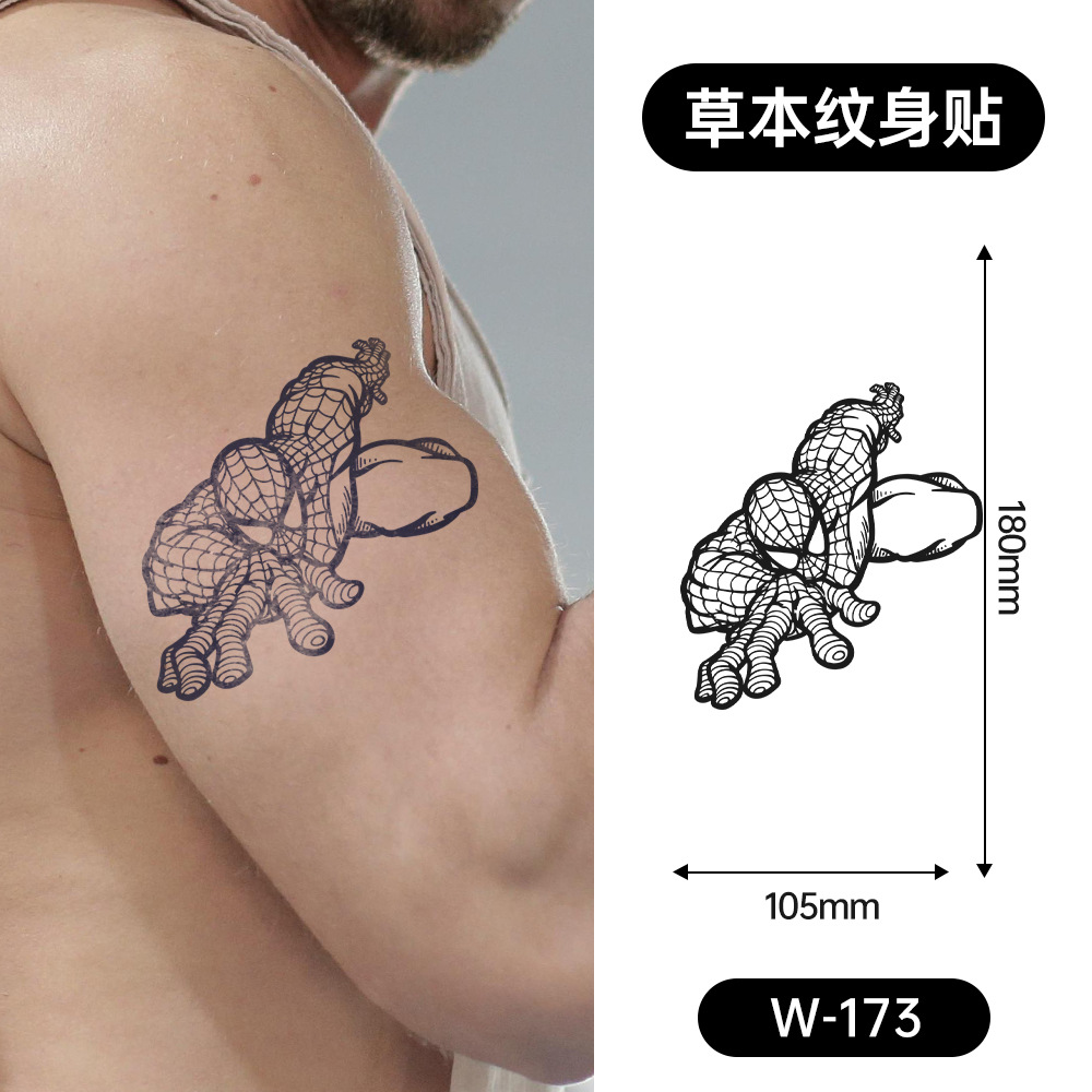 W-173 ดับบลิว-173