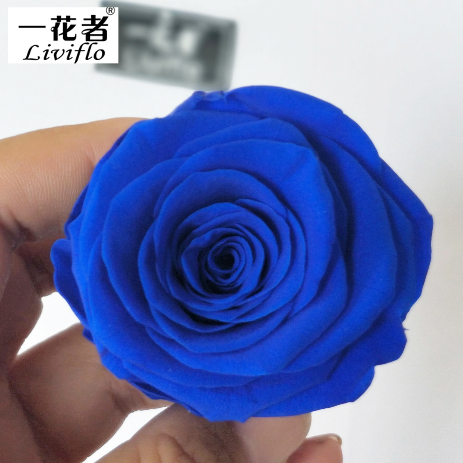 Bleu