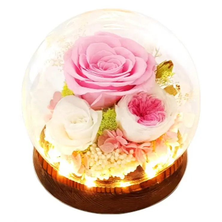 Hot Sale Rose Empire Gift Sets Natal Flower Decorações Presentes Caixas Cada Amor Preservado Lucky Cat Maneki