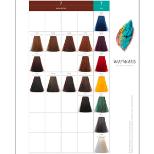 <span class=keywords><strong>Wayward</strong></span> saç markaları 100ml OEM özel etiket toptan çin fabrika salon profesyonel kalıcı boya saç rengi kremi