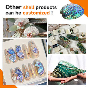 XE-025 Abalone <strong>Shell</strong> Veneer Natural Color with Scallop Pattern Sold <strong>at</strong> a Special Price - Product Image 5