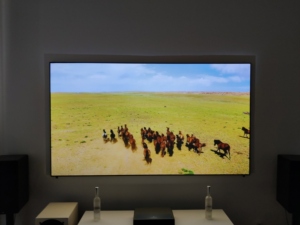 Telon 100&quot; 4k PET Crystal <strong>CLR</strong> ultra Short Throw <strong>Projector</strong> <strong>Screen</strong> Ambient Light Rejecting Laser Ust Alr <strong>Screen</strong> for Home Theater
