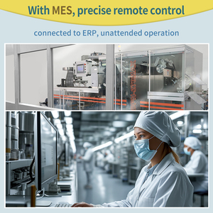 DPH 270Max High Speed Automatic Roller <strong>Blister</strong> Forming Sealing <strong>Machine</strong> Line Tablet Capsule <strong>Blister</strong> Packing <strong>Machine</strong>