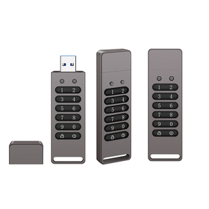 Storage <strong>Devices</strong> Custom Digital USB <strong>Flash</strong> Disk AES256-bit Hardware Password Encrypted Memory Stick OEM ODM OBM Customization DIY - Product Image 6