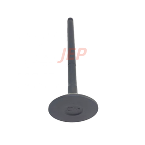 Chất lượng cao b3.3 qsb3.3 phụ tùng động cơ van xả c6207414210 4982895 cho máy móc xây dựng - Product Image 5