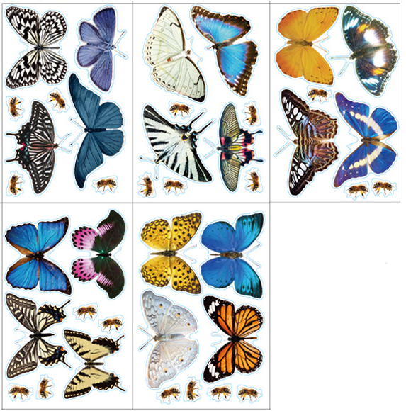 Papillon * 5pc(20*30cm)