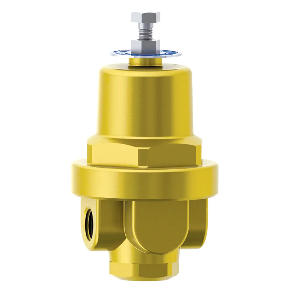 Régulateur de pression ajustable en laiton, gaz, régulation de la température, valve DYS-06A