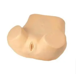 Advanced Gynecological Examination Training Simulator Uterine <strong>Palpation</strong> Examination Medical Science Model for Teaching - Product Image 4