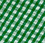 Green & White Gingham