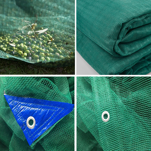100% bakire HDPE düşen meyveler hasat ağı/kestane toplama/kırılma direnci zeytin düşen koleksiyon net - Product Image 6