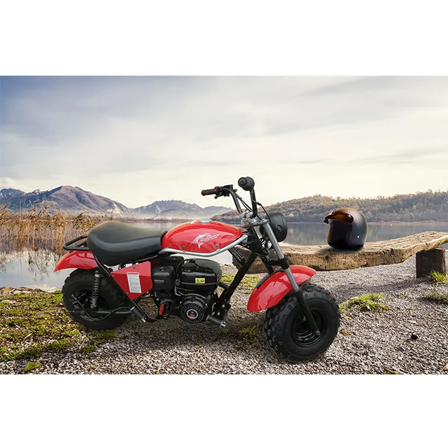 Trail Блейзер TBM200 storm MX196-2 220cc два колеса приведенный в действие газом мини велосипед малыш газа Байк