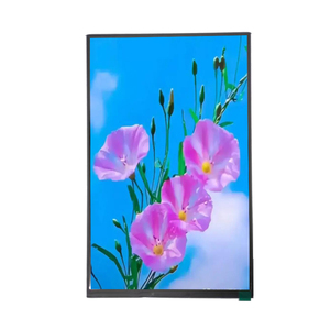 10 inç 800x1280 LCM TFT LCD IPS ekran tam görüş açısı MIPI arayüzü 10.1 "LCD Panel - Product Image 6
