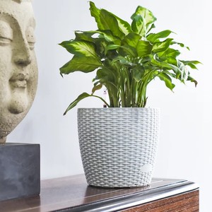HUAZHIAI European Modern Vertical Commercial Self Watering <strong>Planter</strong> for Vegetables Flowers - Product Image 3