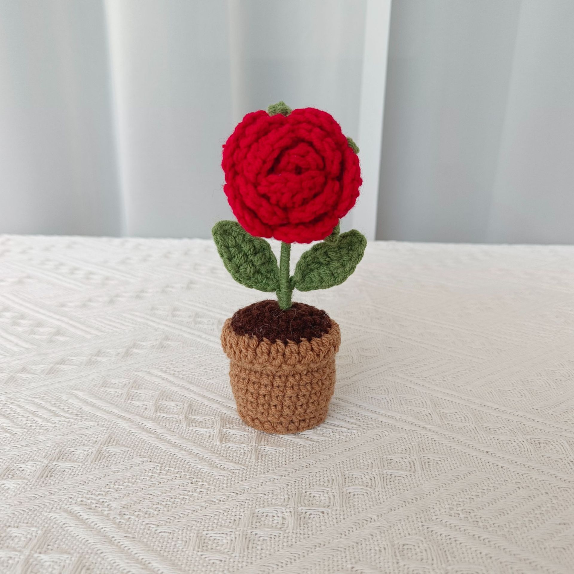 red rose potted plant