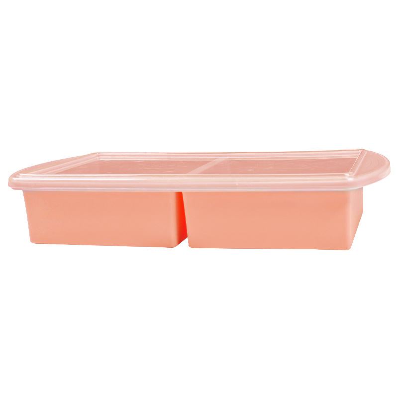 Pink - 2 Compartment