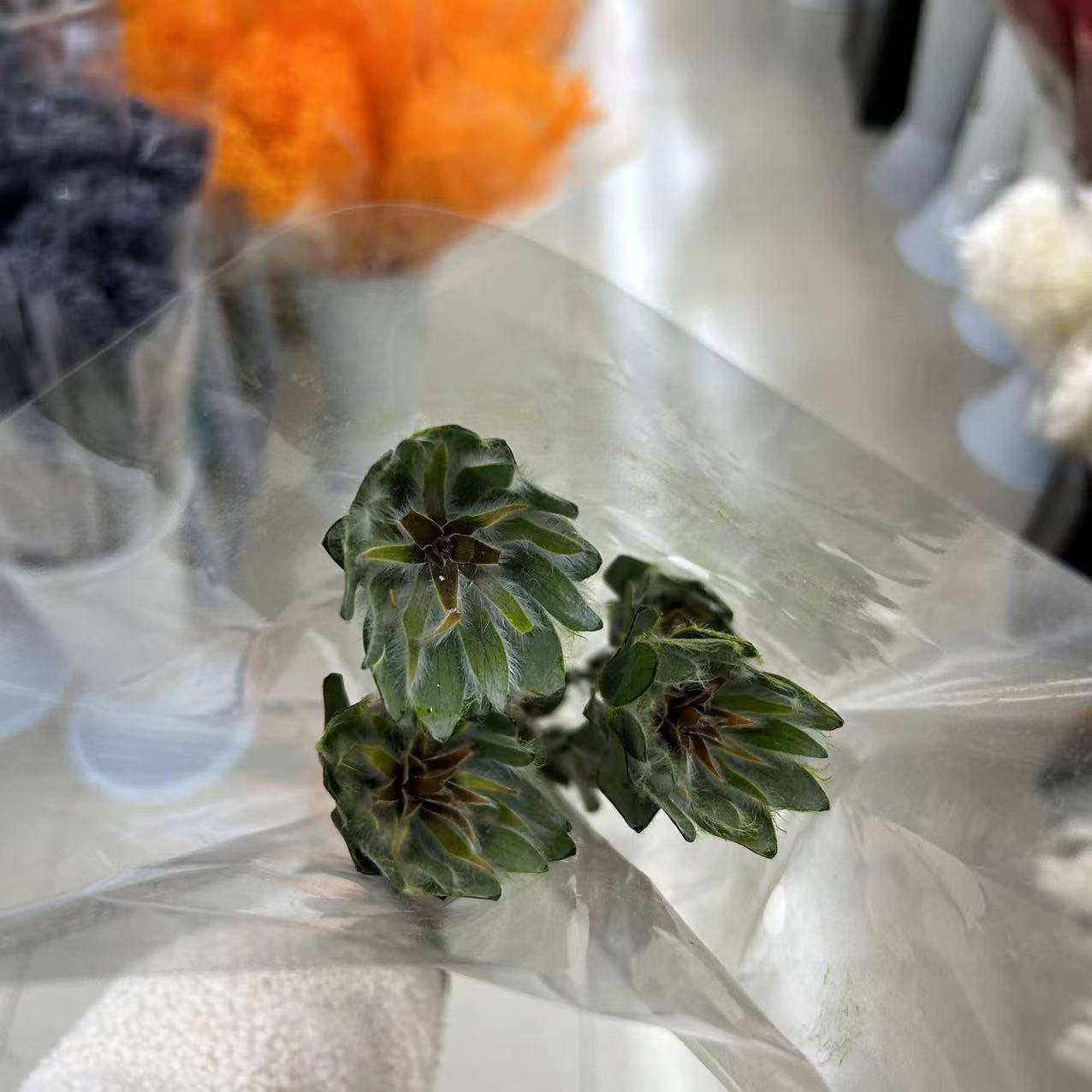 สีเขียว