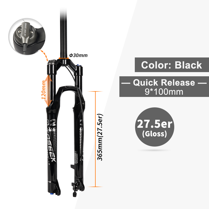 Black 27.5er