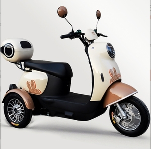 L-Y akıllı elektronik 1000W fırçasız Motor üç-tekerlekli elektrikli Scooter LED ışıkları ile çıkarılabilir taşıma mal teslimat kutuları - Product Image 3