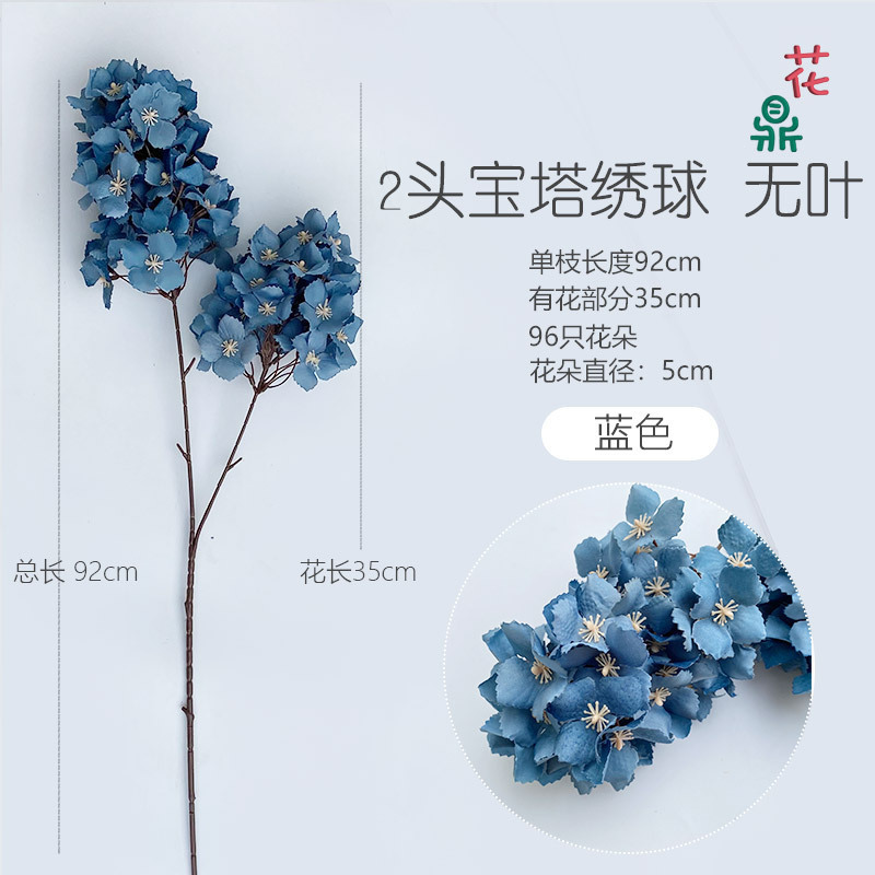 ไฮเดรนเยียทรงเจดีย์สองหัว ไม่มีใบ สีฟ้า