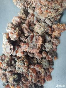 100% Pure Nature High Quality <strong>Myrrh</strong> for Incense Medicine <strong>Myrrh</strong> Gum - Product Image 4