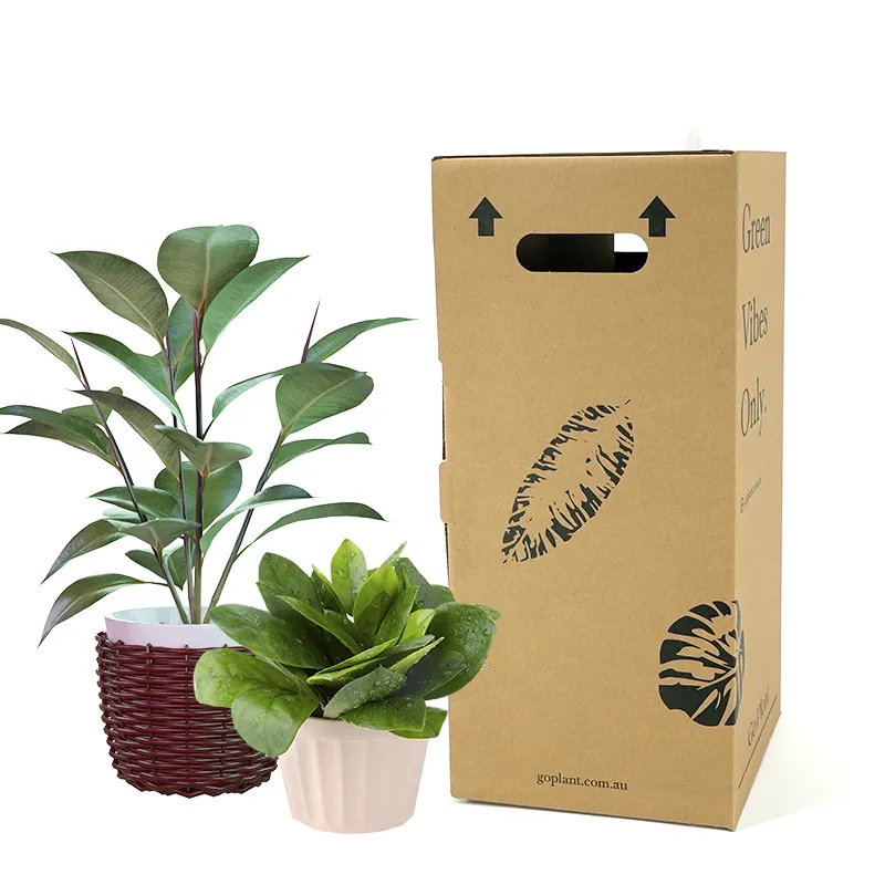 Venta al por mayor suculentas entrega caja de cartón larga caja de envío de plantas caja de cartón para plantas vivas en maceta