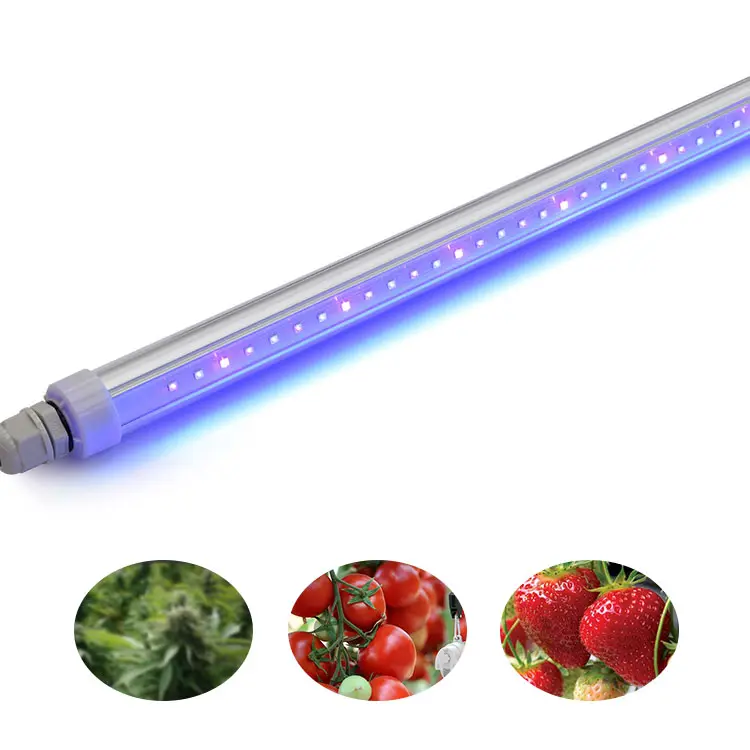 Migliore vendita IP66 UV LED coltiva luce 365nm 25W UVA UVB UVC piante medicali Indoor idroponica Veg Samsung LED alluminio PC