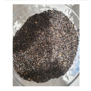High Quality and Hot Selling Ethiopian Niger Seed for Wholesale - Product Image 1