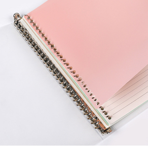 Etikett farbig A4 A5 B5 4 Binder Sheets Kunststoff Index Tab Teiler für Notebook - Product Image 3