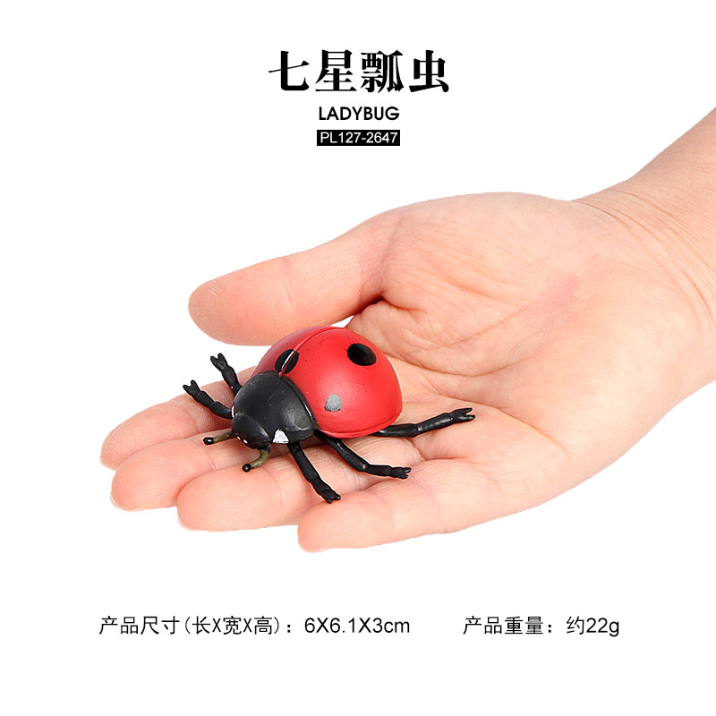2647 Coccinelle