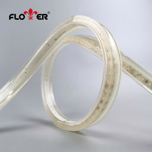 FLOWER ILLUMINATION Outdoor IP68 Classic <strong>LED</strong> Strip Light Normally on 120LEDs/m Facade Building Outline Lighting Strip Light - Product Image 6