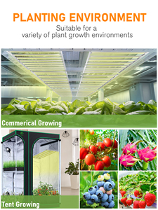 מחיר המפעל כולו ספקטרום hydroponic צמח foldable לגדול אור <span class=keywords><strong>240w</strong></span>