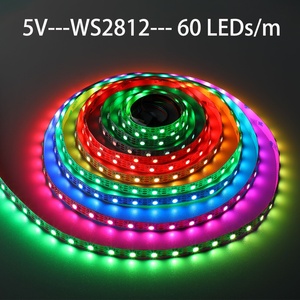 5V 12V 24V แอดเดรสพิกเซล RGB Ruban LED โปรแกรม WS2812 WS2812B RGBIC กลางแจ้งกันน้ํา Dream แอดเดรส LED Strip Light