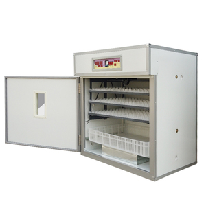 Weiqian Máy Ấp Trứng Thương Hiệu 528 Cho Gà Chim Cút Máy Ấp Trứng Và Ấp Trứng Gà Tự Động - Product Image 4