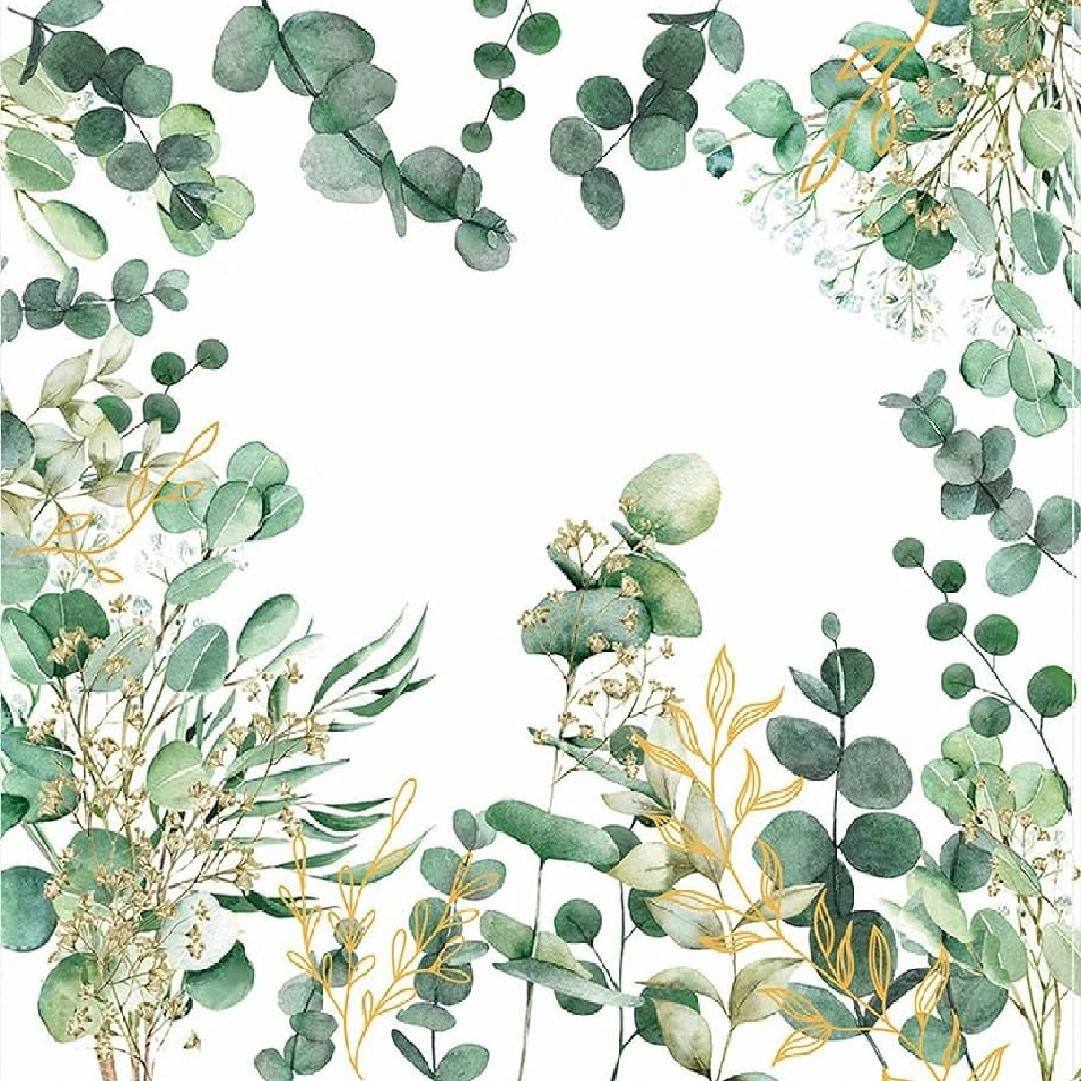 Vert - Feuilles d'eucalyptus