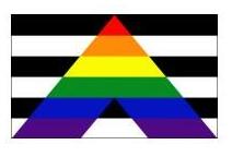 aliado gay heterosexual