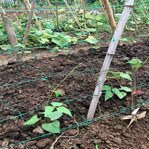 Bitki çiçek bitki destek ağı salatalık Yam destek bitki ızgara Net bahçe bitki destek ızgara Net - Product Image 6